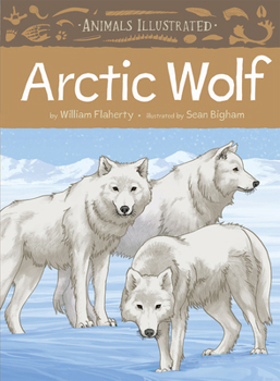 Hardcover Animals Illustrated: Arctic Wolf Book