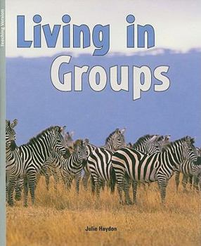 Paperback Living in Groups Book