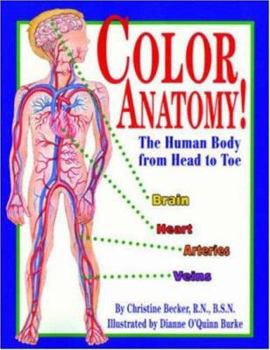 Paperback Color Anatomy! Book