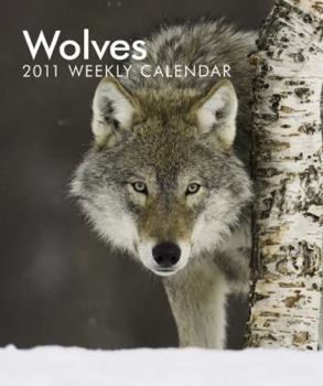 Diary Wolves 2011 Hardcover Weekly Engagement Book