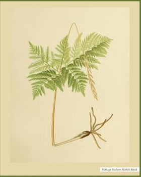 Vintage Nature Sketch Book: Vintage Nature Print (10), 8" x 10", Sketch Pad, For Drawing, Unlruled Drawing Paper Pad - [Professional Binding]