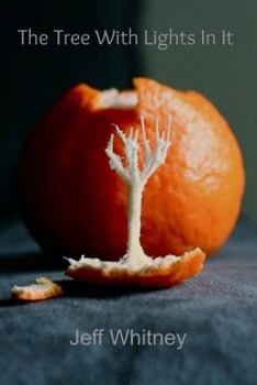 Paperback The Tree with Lights in It Book