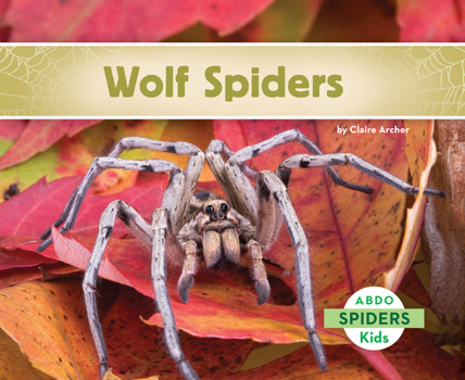 Wolf Spiders - Book  of the Spiders