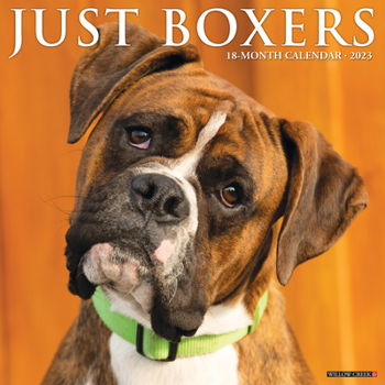 Calendar Just Boxers 2023 Wall Calendar Book