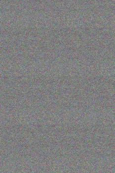 Paperback Bates Training Center Book