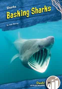 Library Binding Basking Sharks Book