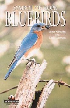 Paperback Bluebirds! Book