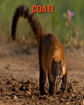 Paperback Coati: Beautiful Pictures & Interesting Facts Children Book About Coati Book