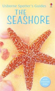The Seashore (Usborne New Spotters' Guides) - Book  of the Usborne Spotter's Guides
