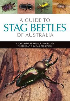 Paperback A Guide to Stag Beetles of Australia Book