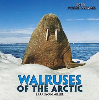 Paperback Walruses of the Arctic Book