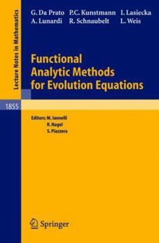 Paperback Functional Analytic Methods for Evolution Equations Book