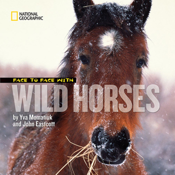 Hardcover Face to Face with Wild Horses Book