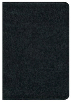 Leather Bound Premium Bible-NRSV Book