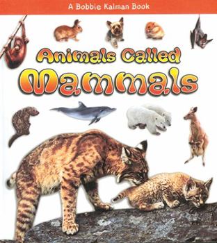 Hardcover Animals Called Mammals Book