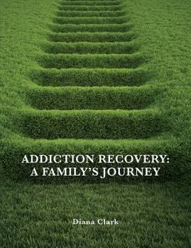 Paperback Addiction Recovery: A Family's Journey Book