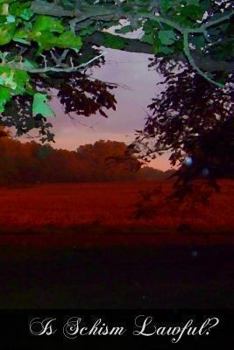 Paperback Is Schism Lawful Book