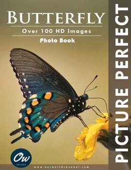 Paperback Butterfly: Picture Perfect Photo Book