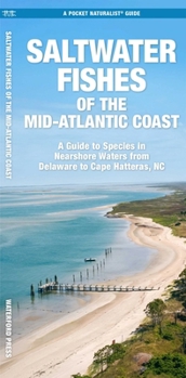 Saltwater Game Fish of North Carolina & Mid-Atlantic Nearshore Waters: A Guide to Species, Rules, and Tips for Fishing Delaware, Maryland, Virginia, a