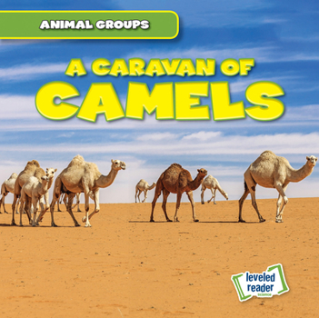 Library Binding A Caravan of Camels Book