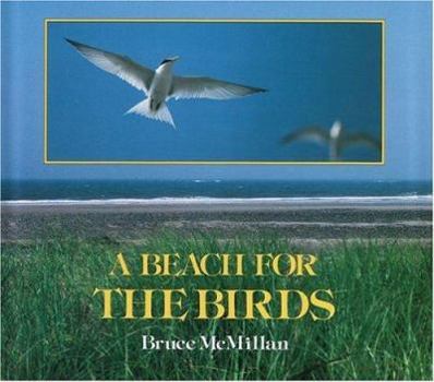 Hardcover A Beach for the Birds Book