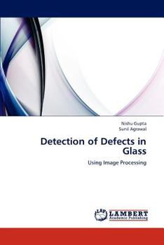 Paperback Detection of Defects in Glass Book