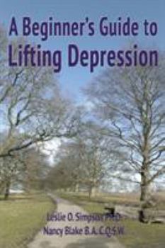 Paperback A Beginner's Guide to Lifting Depression Book