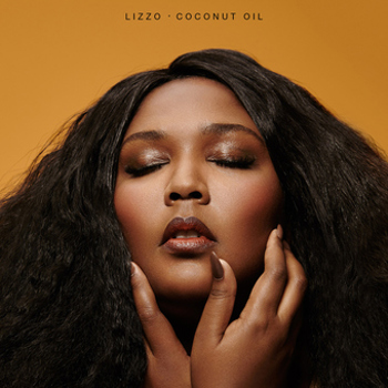 Vinyl Coconut Oil Book