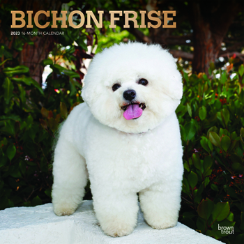 Calendar Bichon Frise 2023 Square Foil Book