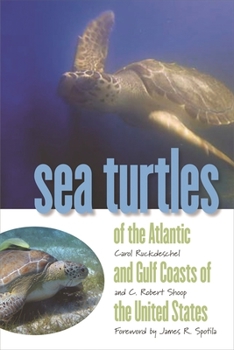 Paperback Sea Turtles of the Atlantic and Gulf Coasts of the United States Book