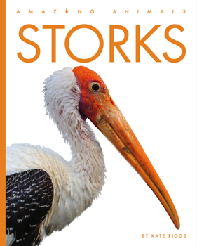 Storks - Book  of the Amazing Animals