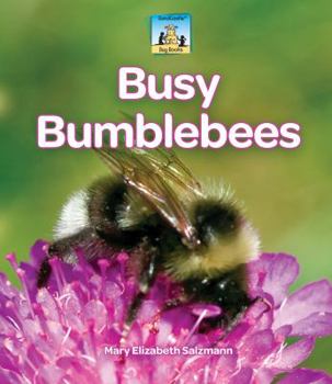 Library Binding Busy Bumblebees Book
