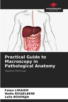 Paperback Practical Guide to Macroscopy in Pathological Anatomy Book