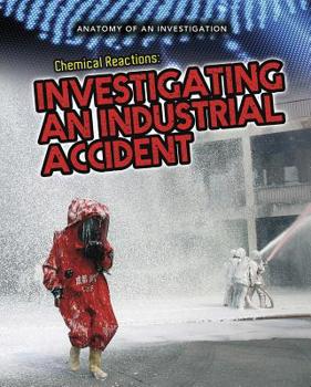 Paperback Chemical Reactions: Investigating an Industrial Accident Book