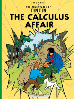 Paperback The Calculus Affair Book