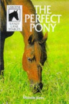 The Perfect Pony (Sandy Lane Stables) - Book #8 of the Sandy Lanes Stables