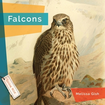 Hardcover Falcons Book