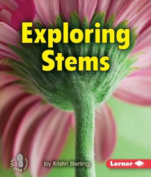 Exploring Stems - Book  of the First Step Nonfiction: Let's Look at Plants