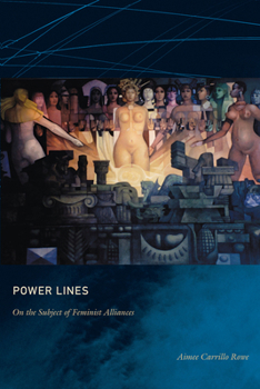 Paperback Power Lines: On the Subject of Feminist Alliances Book