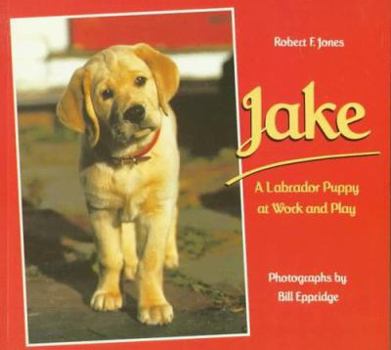 Paperback Jake: A Labrador Puppy at Work and Play Book