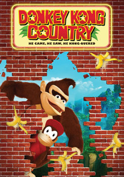 DVD Donkey Kong Country Book