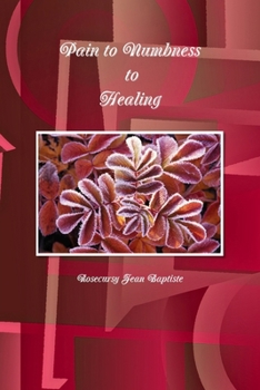 Paperback Pain to Numbness to Healing Book