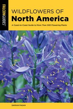 Paperback Wildflowers of North America: A Coast-To-Coast Guide to More Than 500 Flowering Plants Book