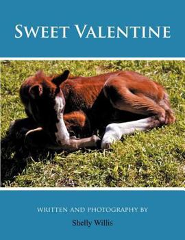 Paperback Sweet Valentine Book