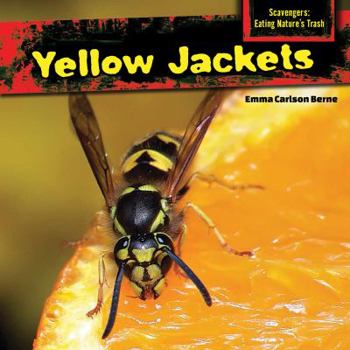 Library Binding Yellow Jackets Book