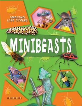 Paperback Minibeasts. by George C. McGavin Book