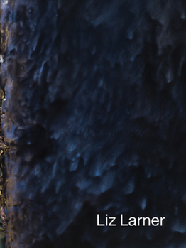 Paperback Liz Larner Book