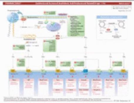 Pamphlet MemoCharts Pharmacology: Arachidonic Acid Products and Related Drugs (Review chart) Book