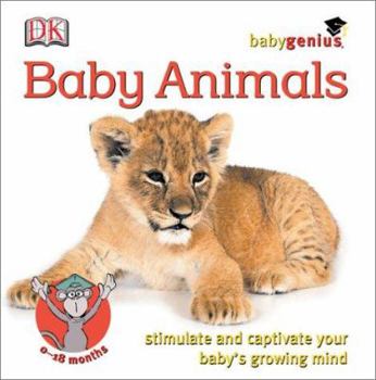Board book Baby Animals Book