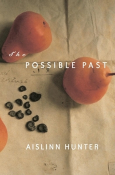 Paperback The Possible Past Book